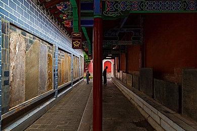 第三人称动作冒险游戏《Eternal Strands》Steam页面 发售日待定